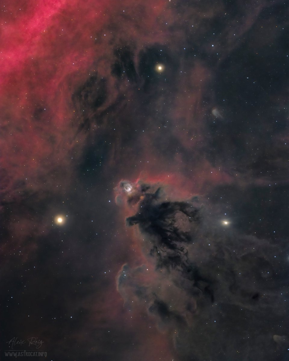astrocatinfo's tweet photo. The BOOGEYMAN nebula https://t.co/5i5WpFGCXs
