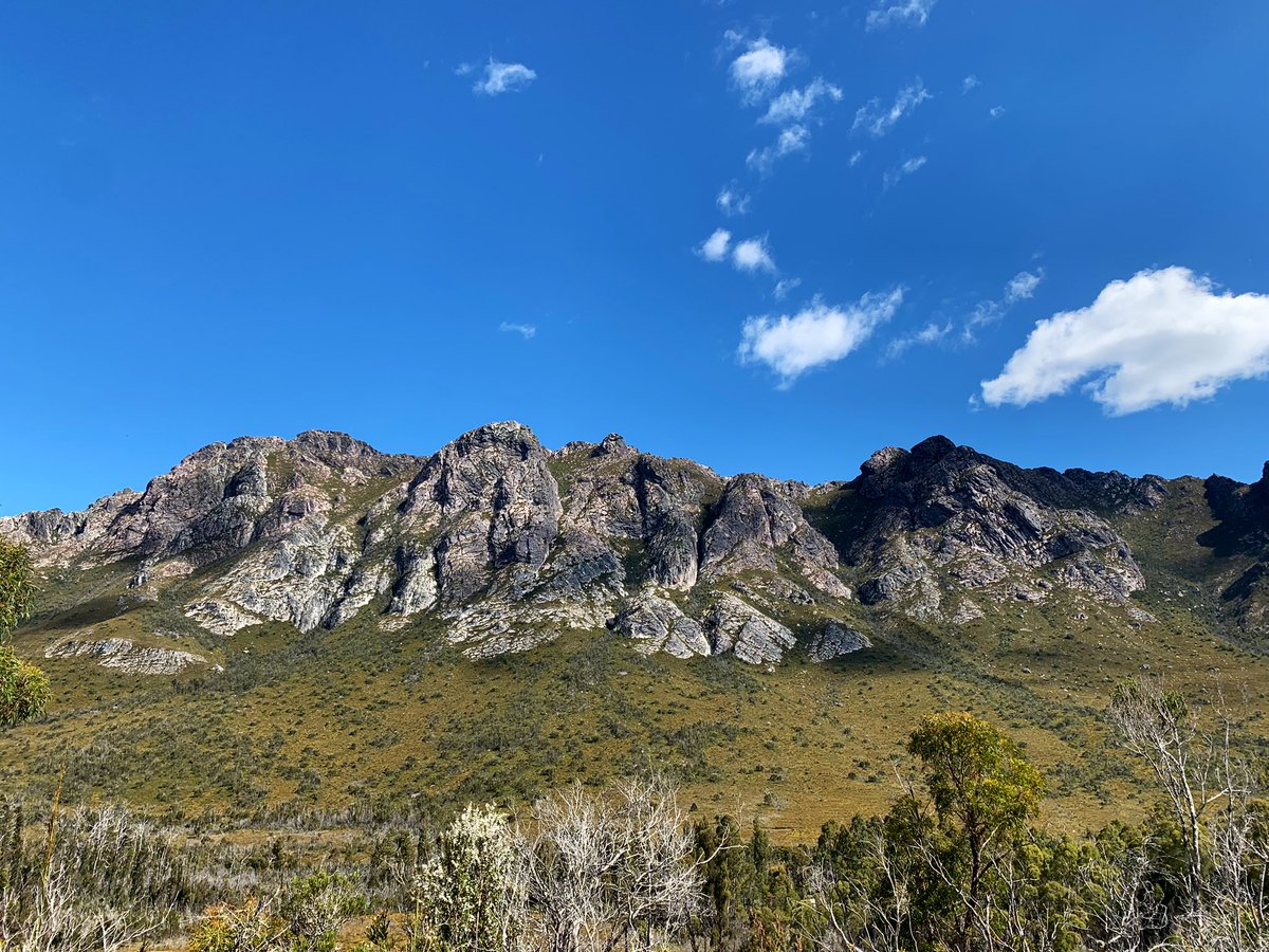 SophieVuleta's tweet photo. After an amazing few days exploring beautiful tassie, I’m super excited to present at the first conference of my PhD tomorrow! #ITRS2023 #coral https://t.co/l6P9PHBbCu