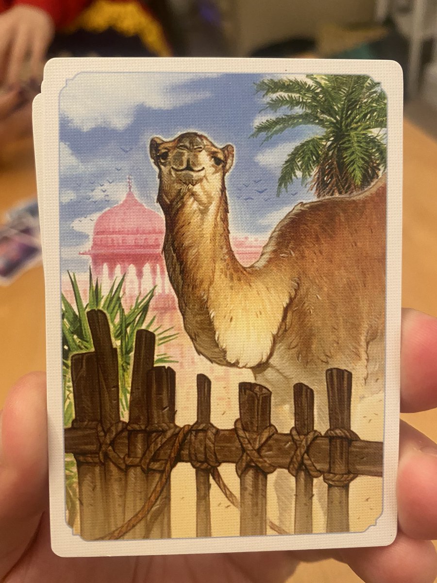 Boardgame day yesterday! What a hoot 😄