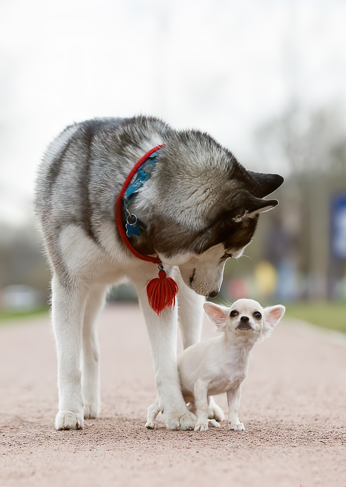 Photographer (@photo5065) on Twitter photo 