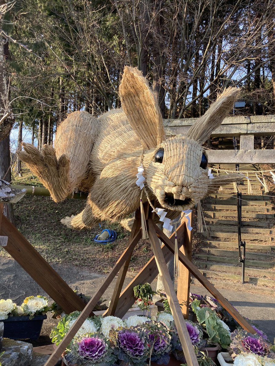 毎年この時期に、大きな干支を飾った神社2箇所に行くのですが、いつも比べては楽しませてもらってます。