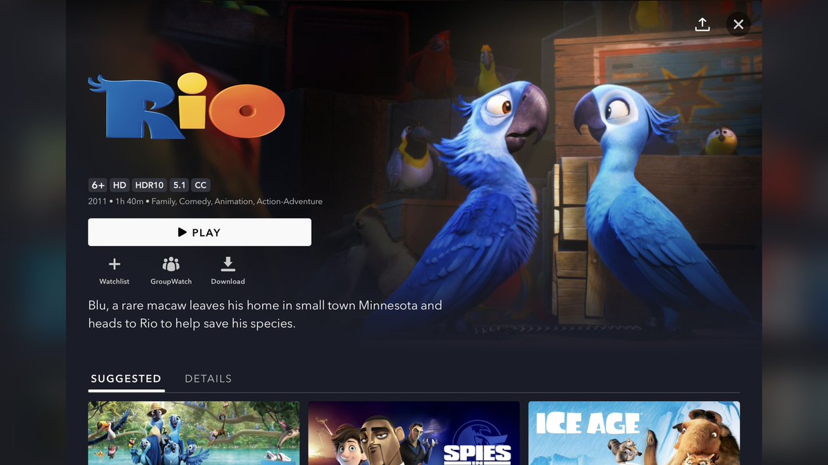 UJStrikesBack's tweet photo. Blue Sky’s Rio is finally available on Disney+, in both the UK and Ireland! 😁
#Rio #JesseEisenberg #AnneHathaway @iamjamiefoxx @iamwill @TracyMorgan #LeslieMann #RodrigoSantoro @JakeTAustin @janemarielynch @iamwandasykes #BruceAnderson @jcd_film #RandyThom #RioMovie https://t.co/CP9S2KC2nC