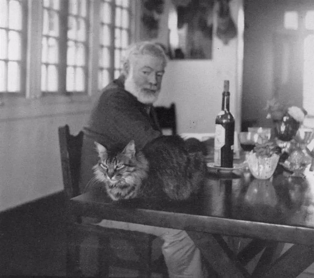 Hemingway and cat