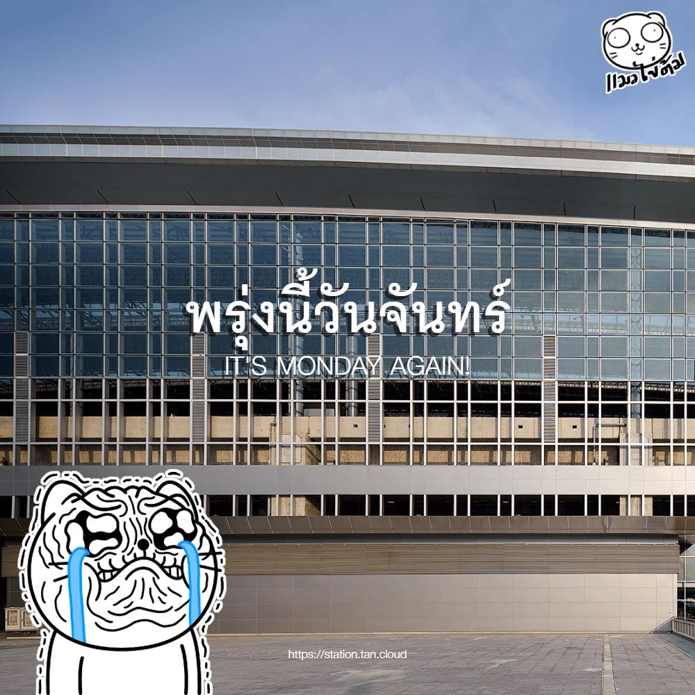 แมวไข่ต้ม tweet media