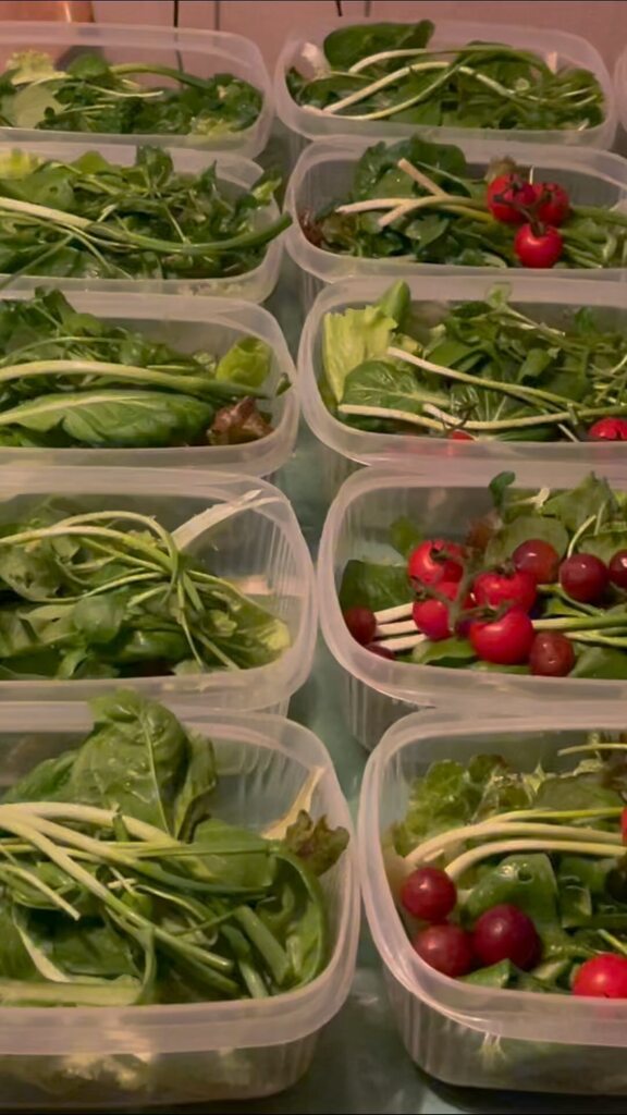 SteveRichards's tweet photo. Back harvesting again after a few days off #digforvictory #selfsufficient #backyardgarden #kitchengarden #allotment #allotmentlife https://t.co/KgihyibF58 https://t.co/jpestdWNsC