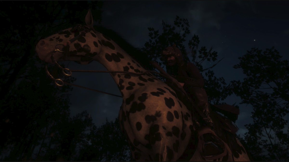 SGTAmerica_72's tweet photo. Stumbled across a Legendary Baharit Grizzly! He almost got me...but now I've got this kick-a** bear hat for my troubles! #LegendaryHunter #RedDeadRedemption2 #PS5Share https://t.co/BpM2qyJ8ic