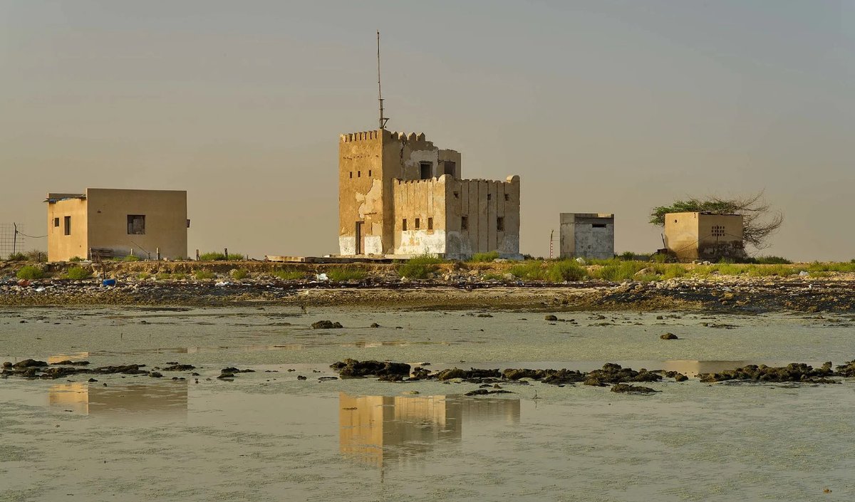 La pesca nel deserto
tinyurl.com/mvruaety