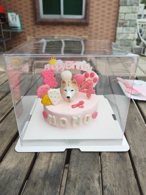 Momo's special doggie birthday cake (chicken breast, carrot, egg, goat's milk, cheese) that I bought
