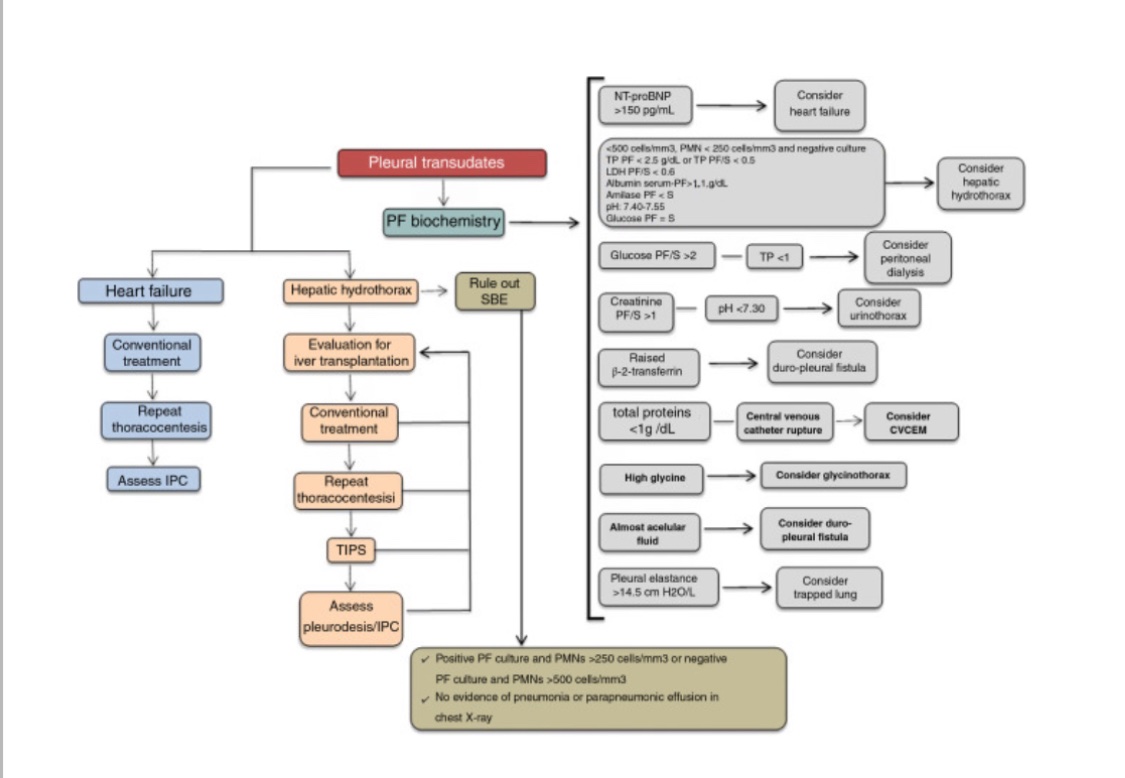 miangel16338's tweet photo. Very important and necessary paper. Don't forget to read it. January2023 number @ArchBronconeumo @SeparRespira: "Diagnosis and Treatment of Pleural Effusion. Recommendations of the Spanish Society of Pulmonology and Thoracic Surgery. Update 2022". https://t.co/mlE1yjvKTH https://t.co/VzqMcIDpyK