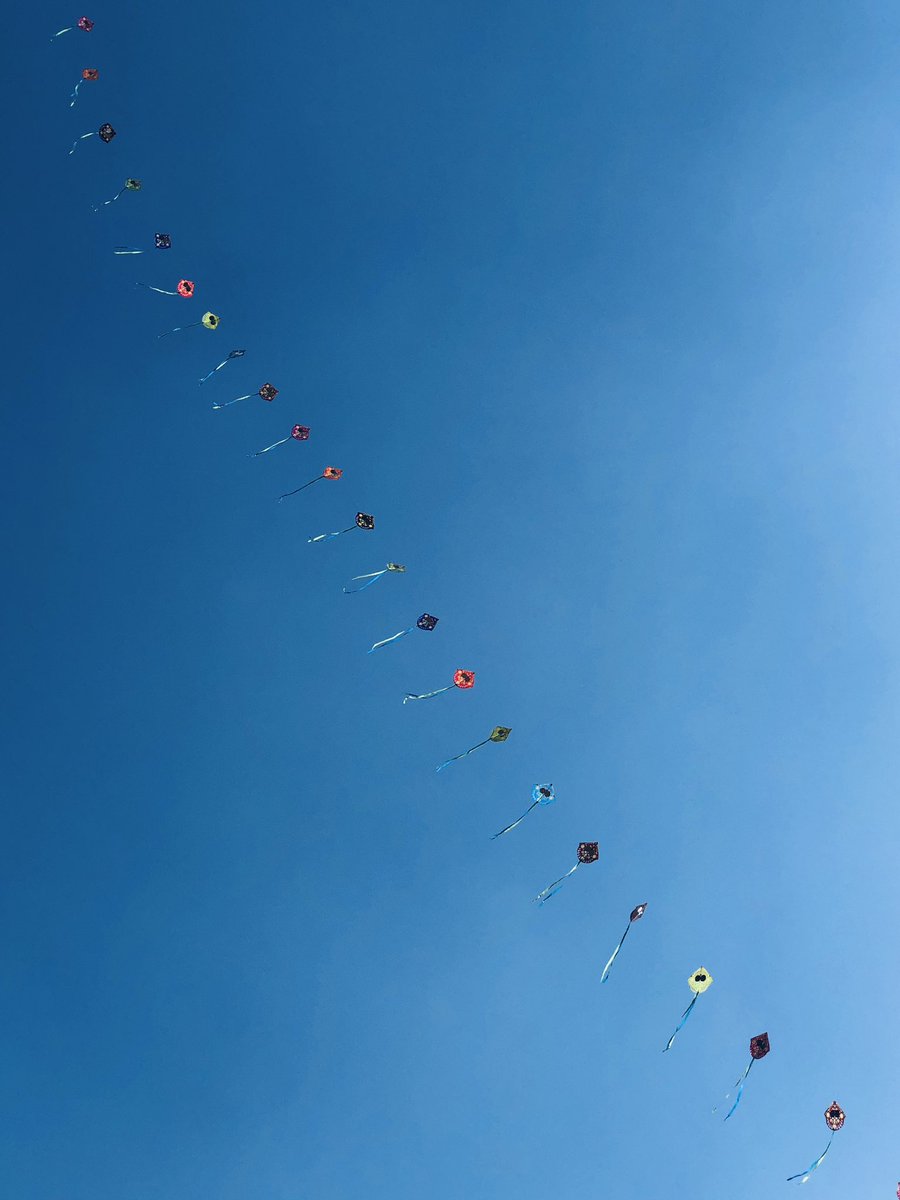 Kite festival on its peak in Jaipur. 
Birds, take care. 
#Rajasthan #kitefestival #learnminimalism @my_rajasthan