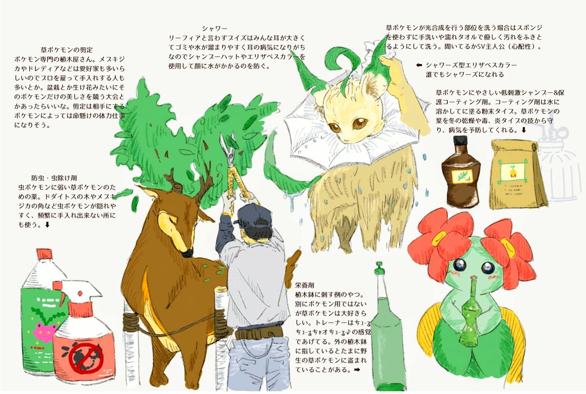 草ポケモンのモンペの戯言なので聞かなくて大丈夫です。 