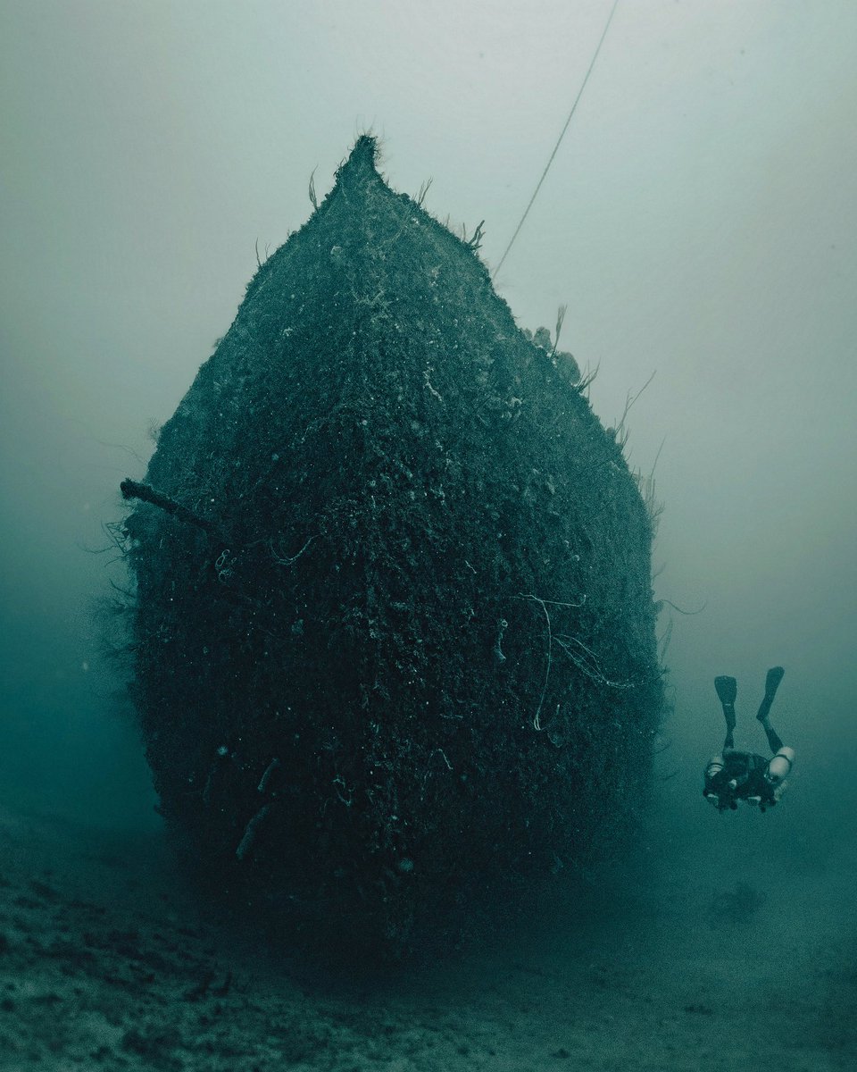 stephenjaynsley's tweet photo. The Halliburton rests in around 30m/100ft just outside the bay on Utila. It's ideal for novice and experienced divers and allows for line deployment training and penetration dives. 
#padi #scuba @PADI #scubadiving #scubadive #dive #scubadiver #padi #utila #wreckdiver #wreckdiving https://t.co/CbWwpxVCmE