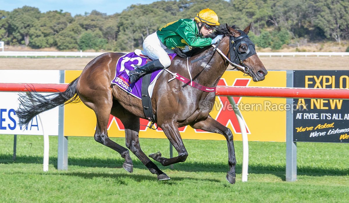 WesternRacepix's tweet photo. STRATHMORE ROSE - 2023 TABtouch Fitzpatrick Plate @AlbanyRacing #WesternRacepix #FitzpatrickPlateDay 

More 📸 https://t.co/SigLznY1t7 https://t.co/x19spJXULD