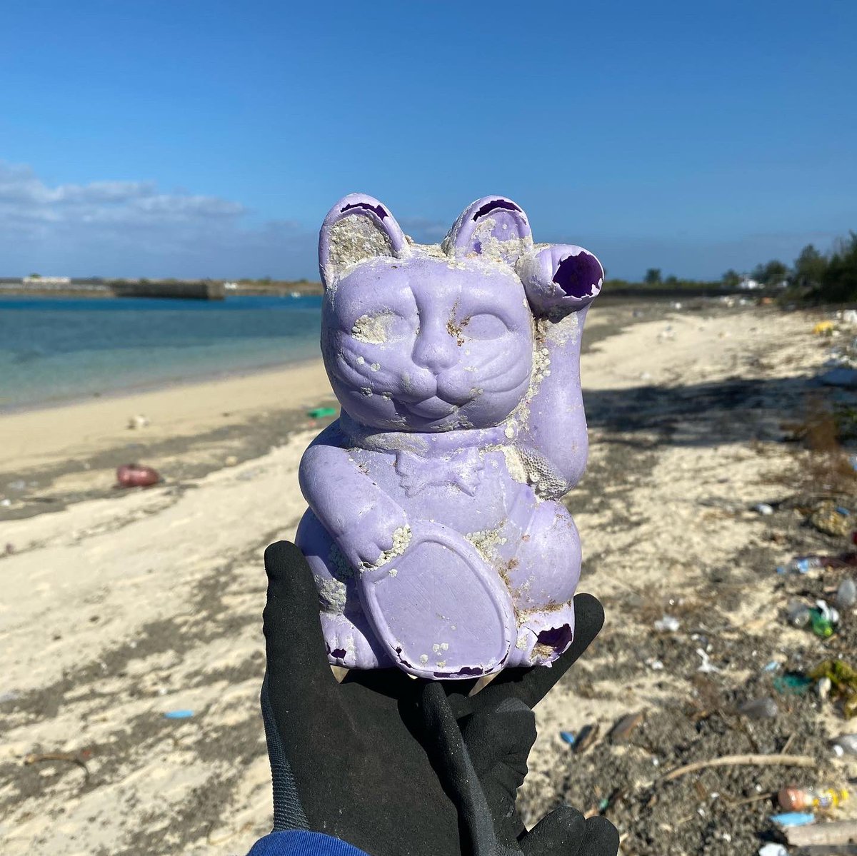 shibatahideaki's tweet photo. 仕入れ
#淀川テクニック #yodogawatechnique #ゴミ拾い #pickuptrash #海ゴミ #海洋プラスチック #Plasticgarbage #Marineplastic #やんばるアートフェスティバル #やんばる #やんばるオオゴミウオ https://t.co/IH939PnEC3