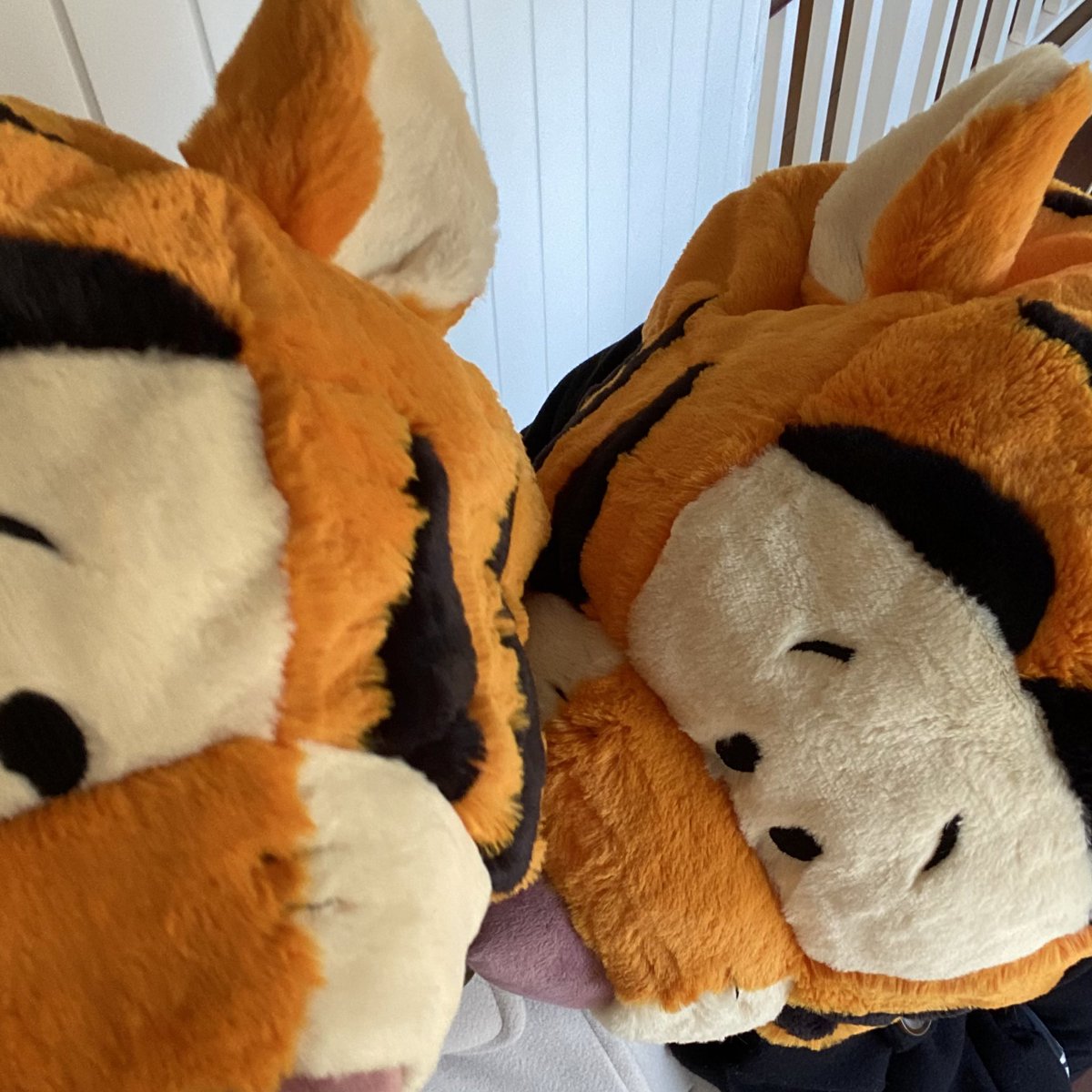 ディズニーで初ファンキャップ🐅