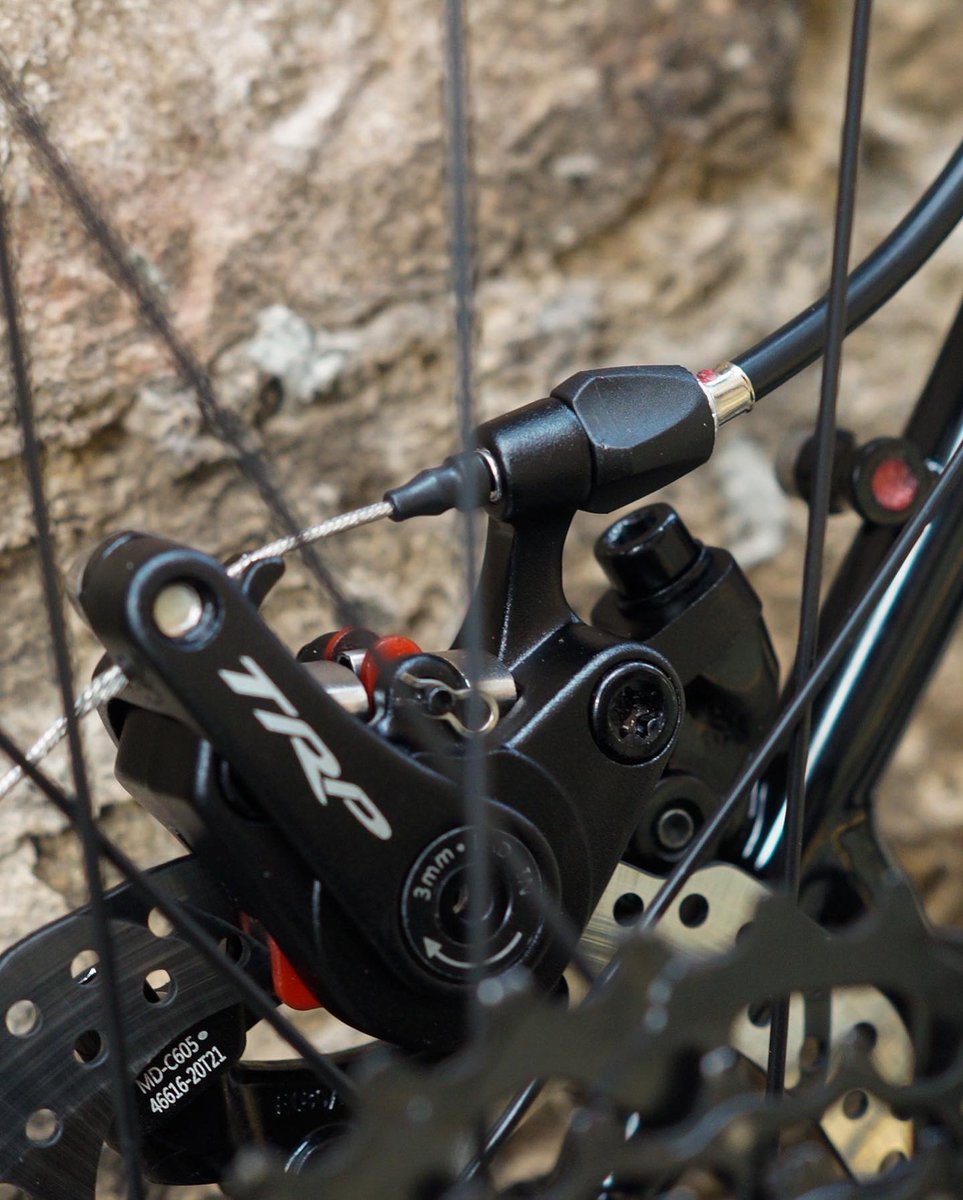 ProjektRide tweet media