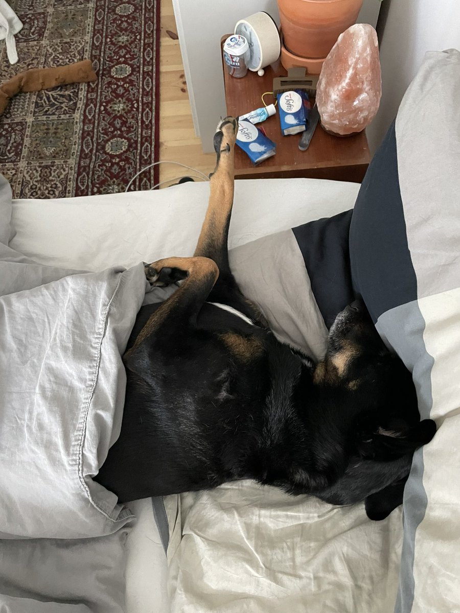 wache auf und sehe das