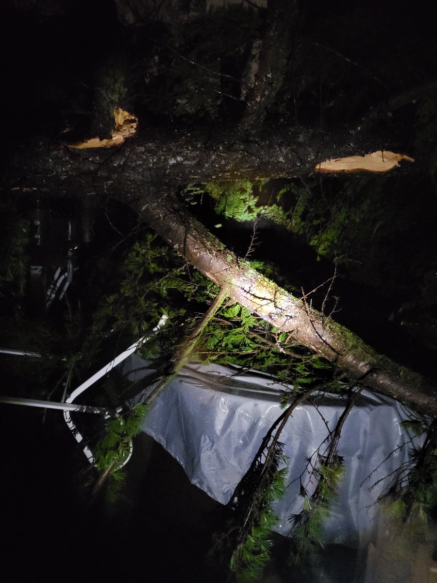 wgr49er1's tweet photo. @NWSSacramento Neighbor's huge Pine tree just toppled into my yard. Did damage to fence, roof and hot tub but we okay after some terrifying moments hearing things crash and break. Now we sit in the dark and wait to access damage. Whew! @KristinasCall https://t.co/6hGqDPQEnA