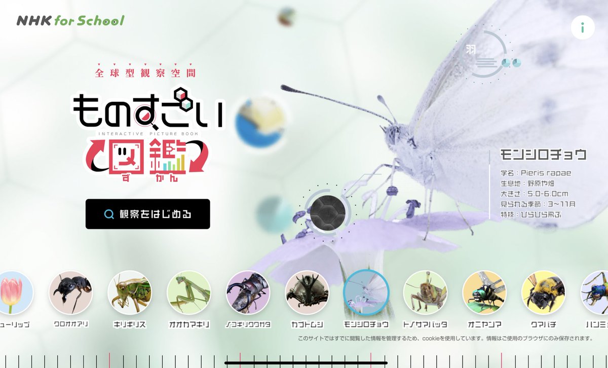 mountain_sensei's tweet photo. NHK for school の【ものすごい図鑑】
昆虫や花を拡大して
観察したり動画を見たり学習したりすることができます。
生活や理科の学習で活用できます。
虫が好きな児童はとても喜びます。

https://t.co/bw7AezgD4j… https://t.co/AYLMzCyl3Y