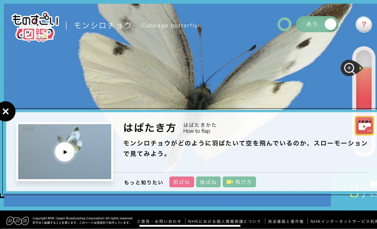 mountain_sensei's tweet photo. NHK for school の【ものすごい図鑑】
昆虫や花を拡大して
観察したり動画を見たり学習したりすることができます。
生活や理科の学習で活用できます。
虫が好きな児童はとても喜びます。

https://t.co/bw7AezgD4j… https://t.co/AYLMzCyl3Y