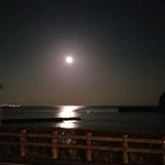 ツイートに含まれる画像