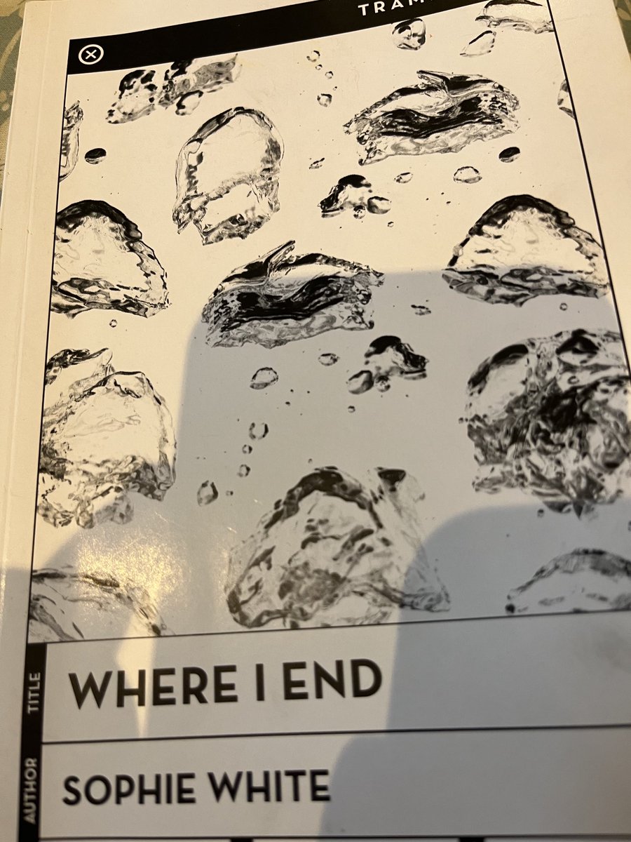 talktojoeduffy's tweet photo. An incredibly courageous powerful read. ⁦@TrampPress⁩   Pitch perfect , shuddering .The blurb on the back totally true for a change! Stunning. #SophieWhite   #WHEREIEND https://t.co/Maj5FcjySl