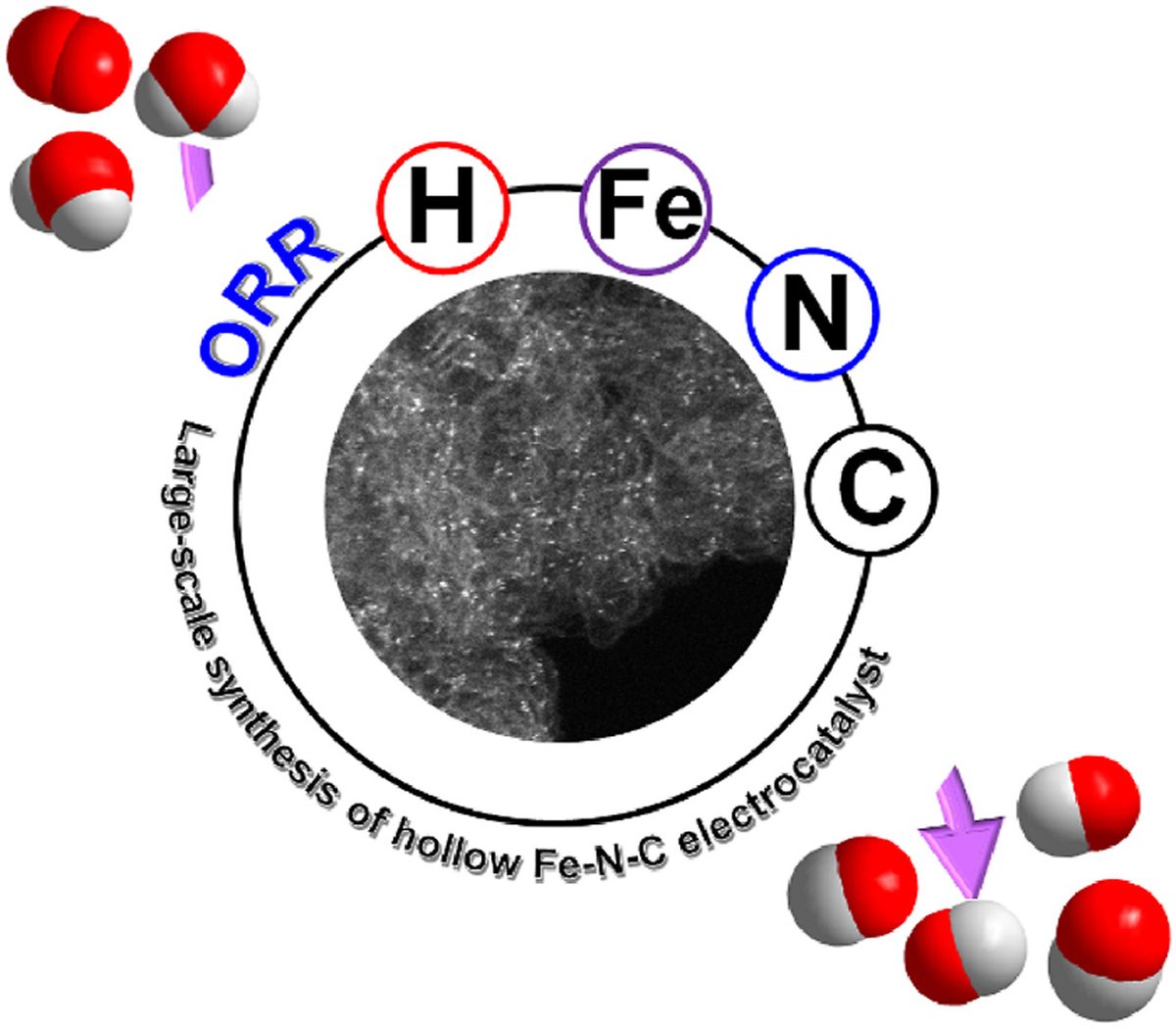 eScience_NKU's tweet photo. Research: Large-scale synthesis of N-doped carbon capsules supporting atomically dispersed iron for efficient oxygen reduction reaction electrocatalysis
Prof. Shengqian Ma (University of North Texas)
eScience, 2022, 2(2), 227-234. 
https://t.co/JYpez5zF1p
#Metal_single_atoms https://t.co/sbjnuxIFFt
