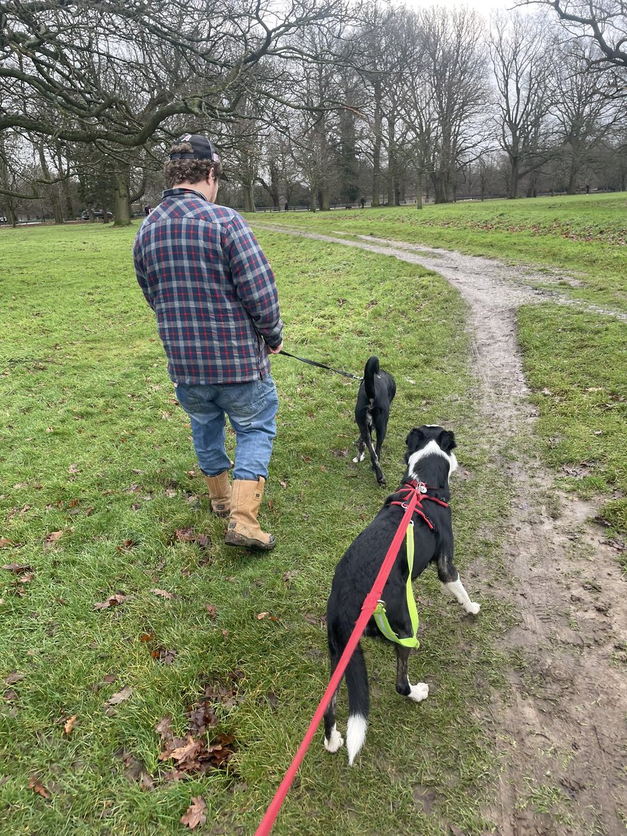 hannahrhday's tweet photo. Nothing like a Sunday morning stroll with my boys! #sundaystroll https://t.co/TaZxI9hsdX