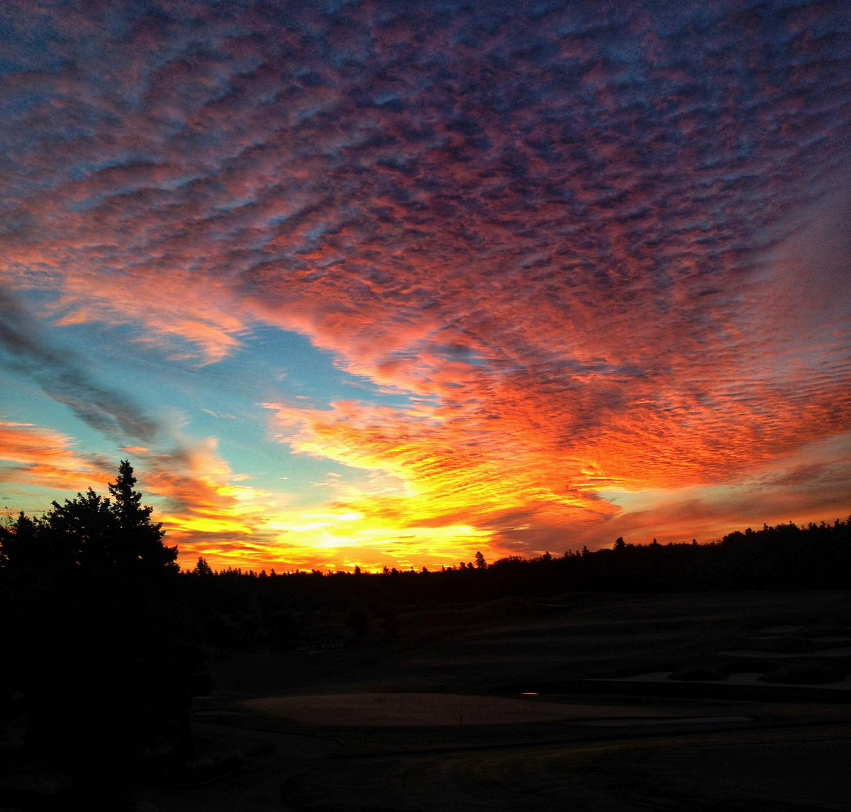 Chefstevewilson's tweet photo. GM to the GM crew! Grab a coffee or 10 and have an amazing Sunday! #NFTCommunity #goodmorning #getcaffeinated #nftphotography https://t.co/NTa4Aw4mFE