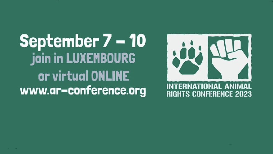 International Society for Animal Ethics - ISAE (@socanimalethics) / Twitter International Society for Animal Ethics - ISAE (@socanimalethics) / Twitter