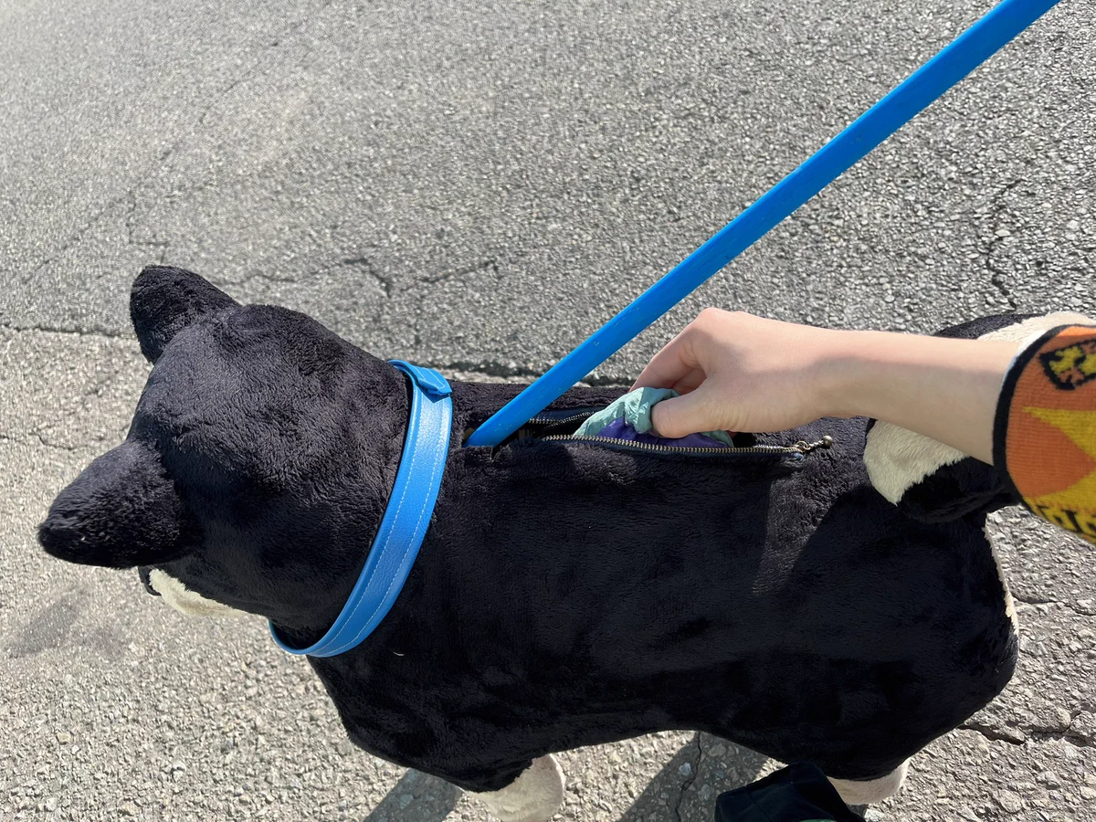 思わず二度見しちゃう！？犬散歩してる風バッグ。