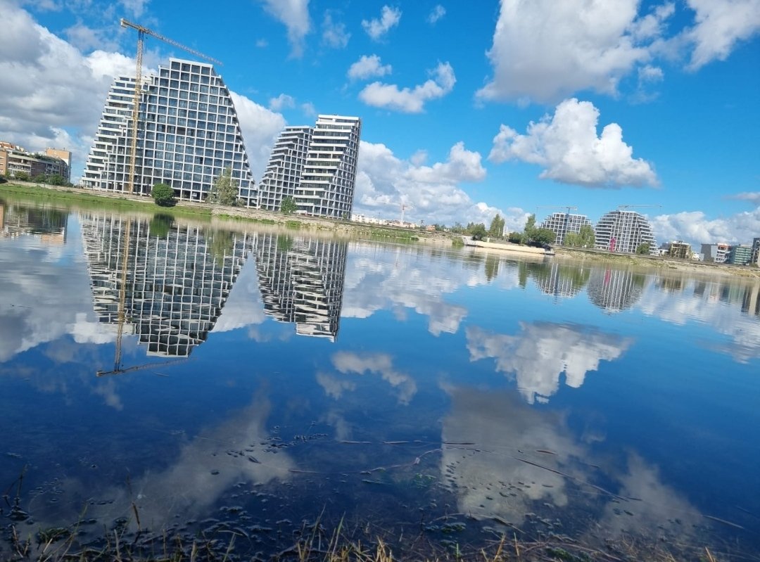 GM to yall who say it back and to yall who don't 🌴🌅☕