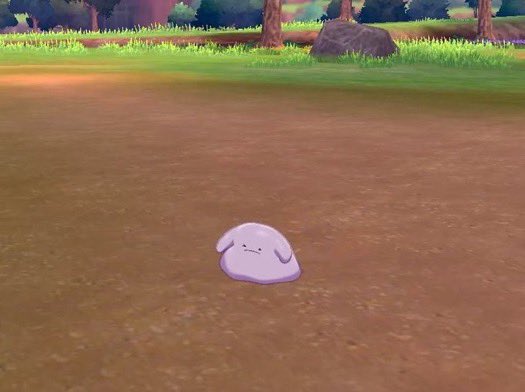 Pokemon Sword and Shield Ditto