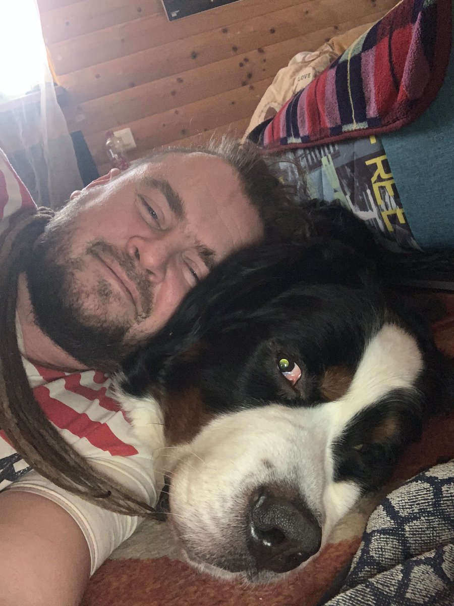 Shulgеvi4 tweet media