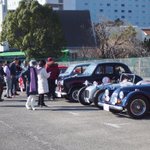 ツイートに含まれる画像