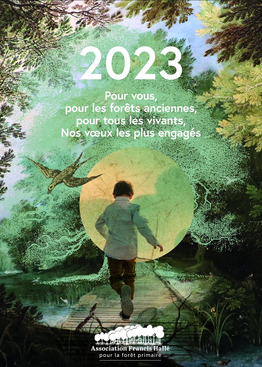 L'association Francis Hallé pour la forêt primaire vous souhaite un bonne année 2023 : pour vous, pour les forêts anciennes, pour tous les vivants, nos vœux les plus engagés !