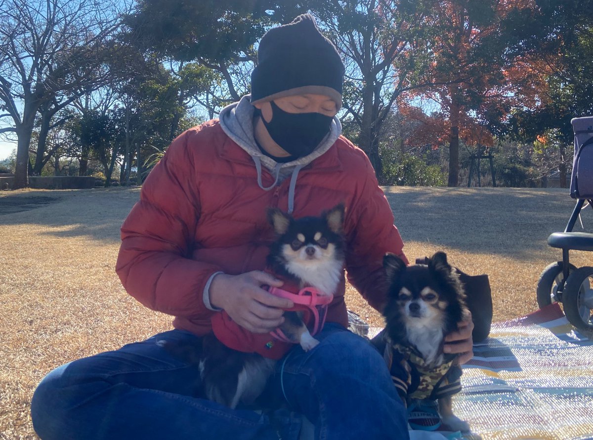 hazumusekai's tweet photo. 浜名湖ガーデンパークでお散歩。
良いお天気だったので、レジャーシートで日向ぼっこ。
イベント出店されていた #DEFstore さんを覗いたら、めちゃかわいいロンパース発見😍
MONSTER'S CHOPPER Tシャツの柄に似てる💕
飼主一目惚れにつきお揃いでお買上げ。
#BLOODMESSAGE #STOCKRIDERS #犬服 https://t.co/G4qbHFTgVu