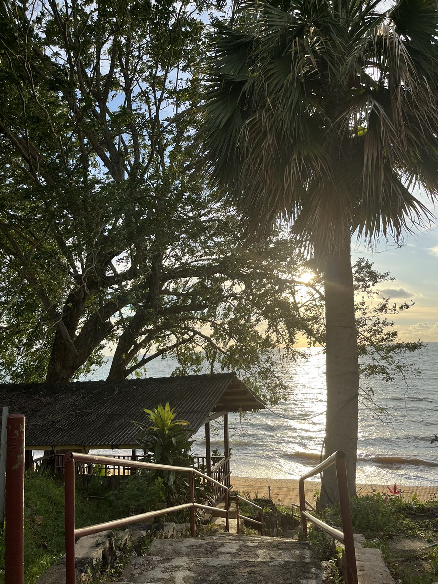 berttyih_als's tweet photo. Taking time to enjoy my first sunset for the year. I could not get a better view of the sunset due to my@mobility and space constraint at the place. Then a friend took a picture of me while reading my book. Enjoying the creation of God. #GodisGood #gratitude #EndingALS https://t.co/uiP7vtHPLb