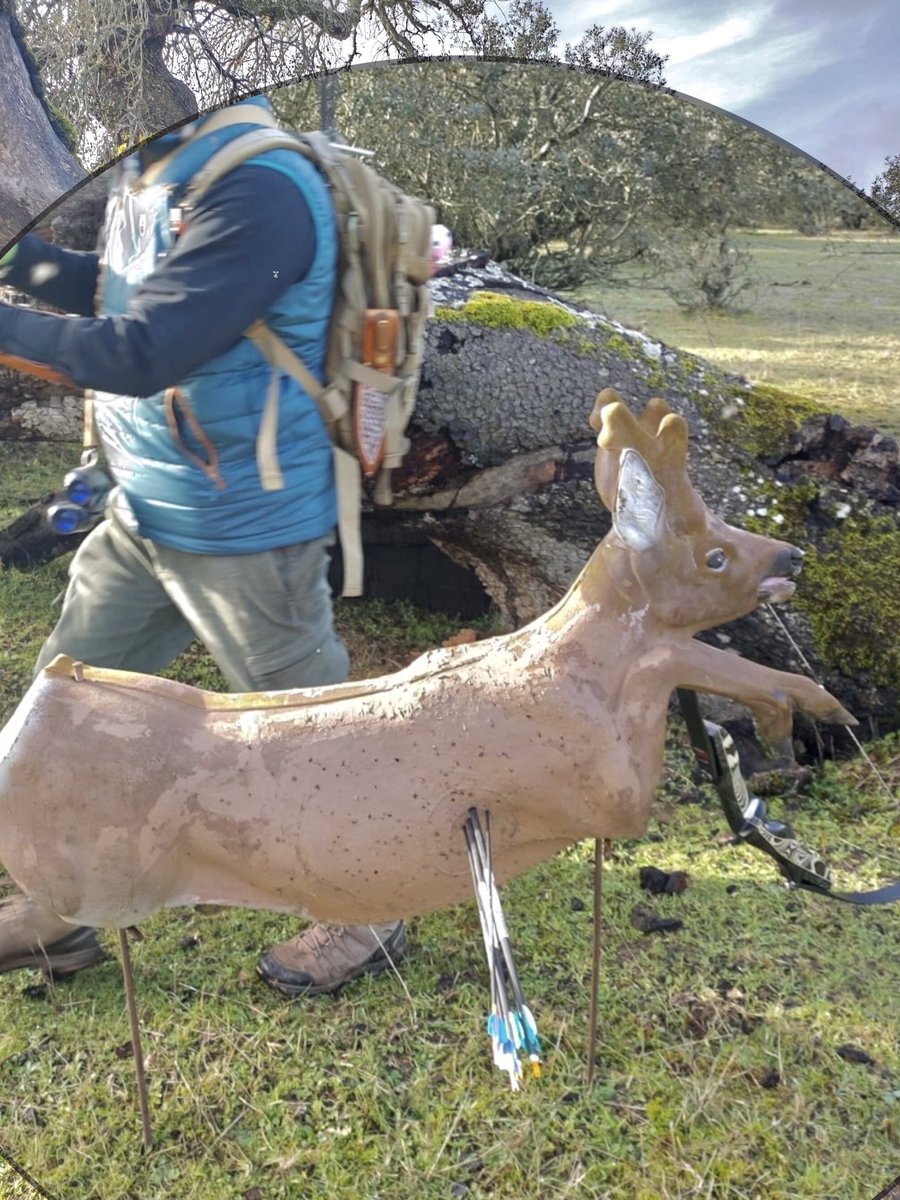 Hola,
Ya está publicada la convocatoria de una de las tiradas más divertidas de nuestro club: VII ALREDEDOR DEL FUEGO 2023.

Reservad el 22 de enero!!!

Feliz Año 2023 arqueros!

buff.ly/3QpPl0r