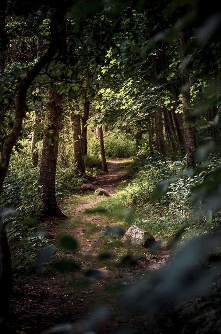 Rorycore 🖤✨ https://t.co/4aEiZj5TjO<a href="/tag/thick"class="tags"><span>#thick</span></a><a href="/tag/titties"class="tags"><span>#titties</span></a><a href="/tag/chubby"class="tags"><span>#chubby</span></a><a href="/tag/nudes"class="tags"><span>#nudes</span></a><a href="/tag/onlyfans"class="tags"><span>#onlyfans</span></a>