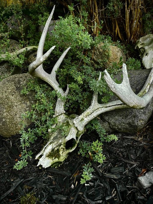 Rorycore 🖤✨ https://t.co/4aEiZj5TjO<a href="/tag/thick"class="tags"><span>#thick</span></a><a href="/tag/titties"class="tags"><span>#titties</span></a><a href="/tag/chubby"class="tags"><span>#chubby</span></a><a href="/tag/nudes"class="tags"><span>#nudes</span></a><a href="/tag/onlyfans"class="tags"><span>#onlyfans</span></a>