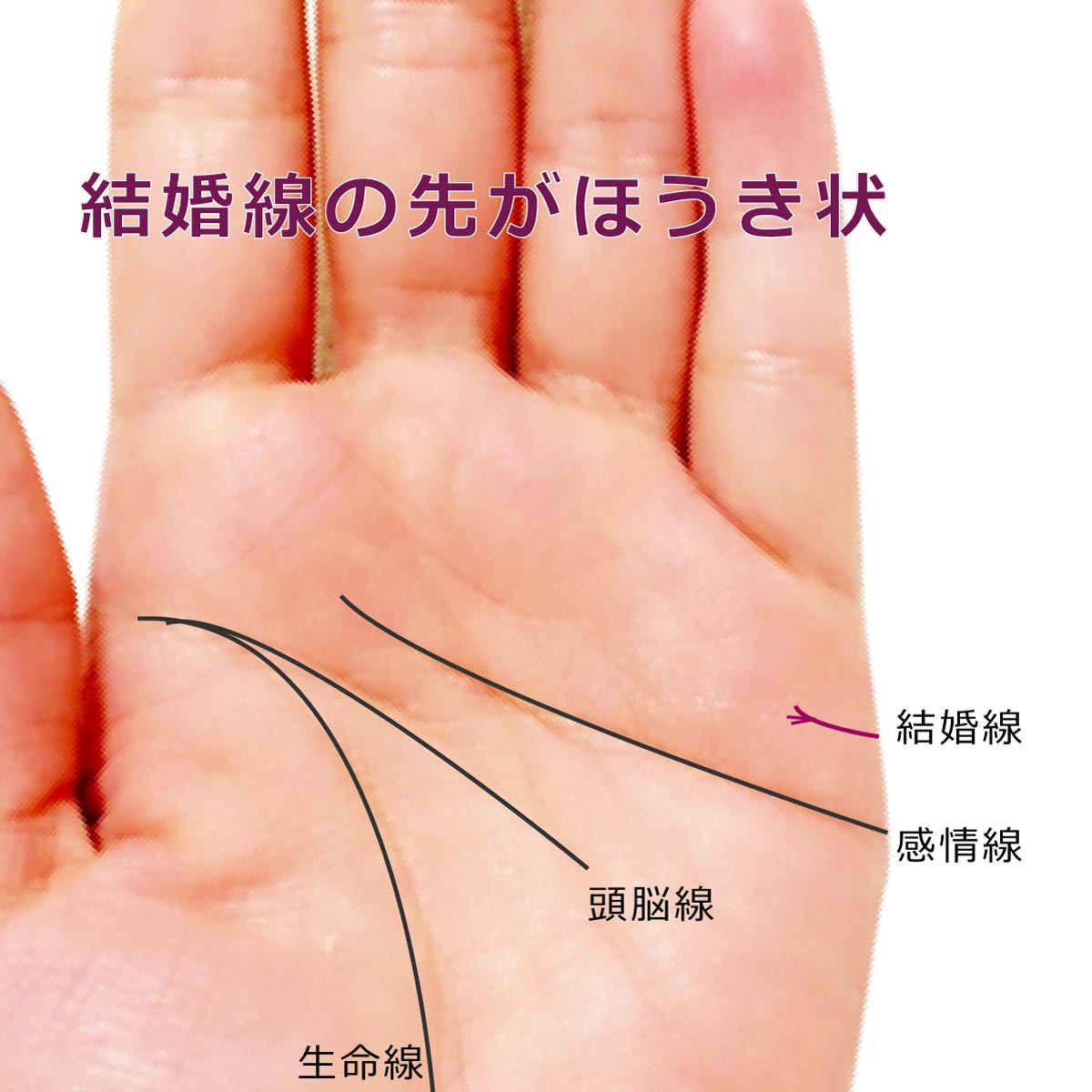 大林木 手相 Palmreading Dairinboku1043 Twitter 大林木 手相 Palmreading Dairinboku1043 Twitter