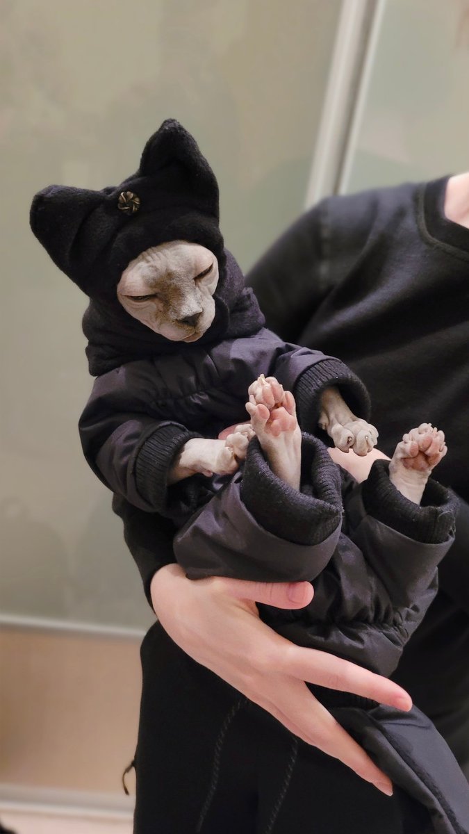 maeters_art's tweet photo. Baby has his own jacket now 🖤 https://t.co/9HhG5q3MMA