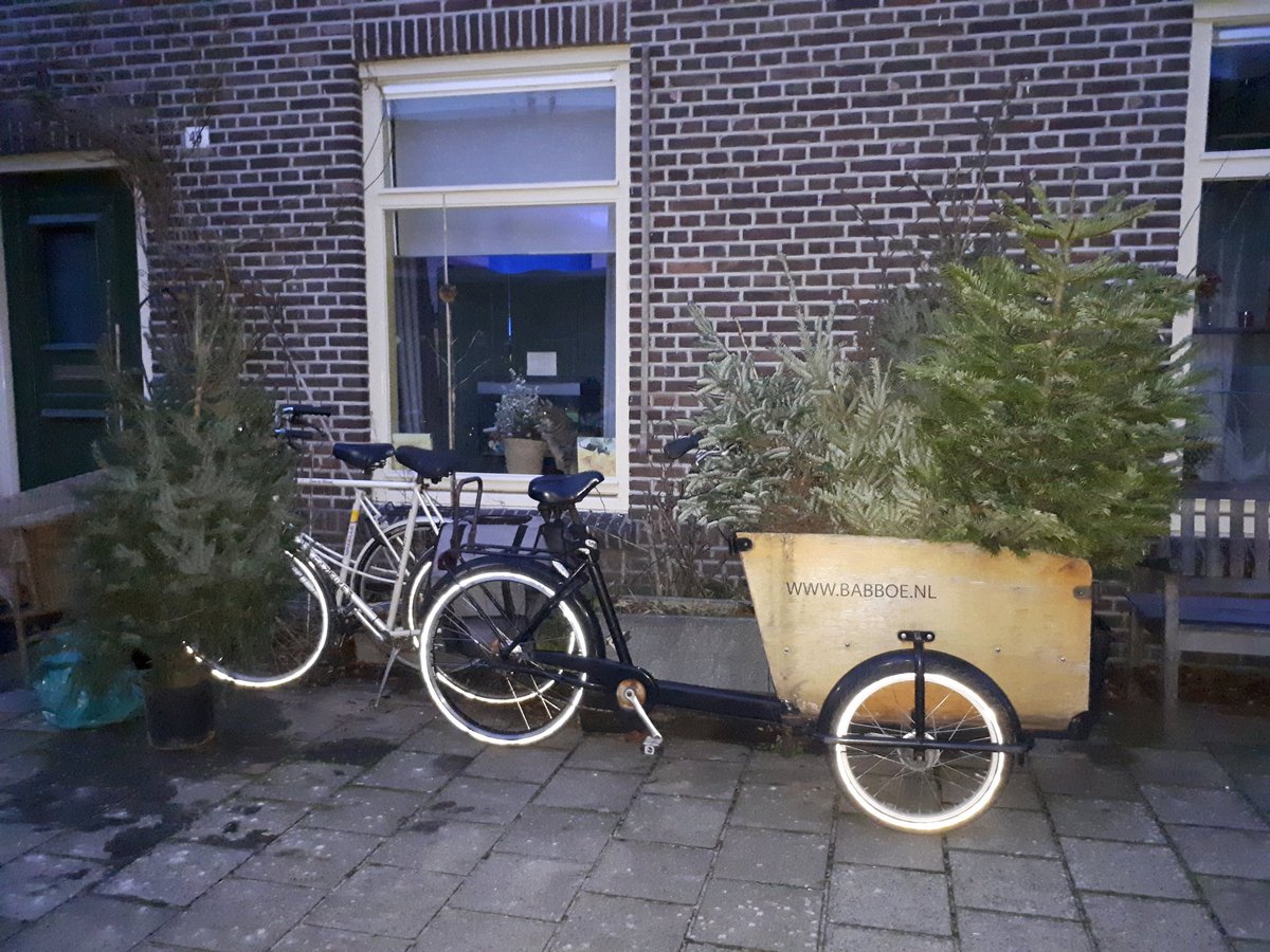 DannyGooyer's tweet image. Weer ex-kerstbomen met wortel van straat gehaald. Met een bakfiets die eigenlijk nog niet echt goed is.
Om de beurt met de voeten in een badje. En dan nog allemaal een plek geven. Onlangs nog een spar geplant. Duimen dat ze het gaan doen. #natuur
#kerstbomen #kluit #planteenboom