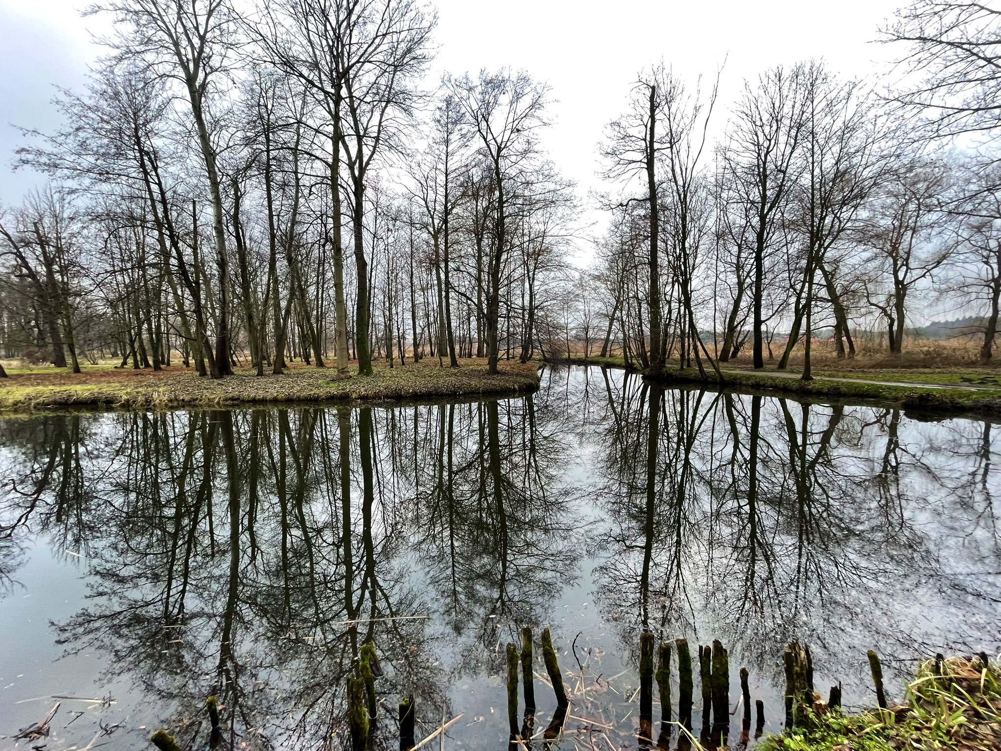 Marta Karsz Ashida on Twitter