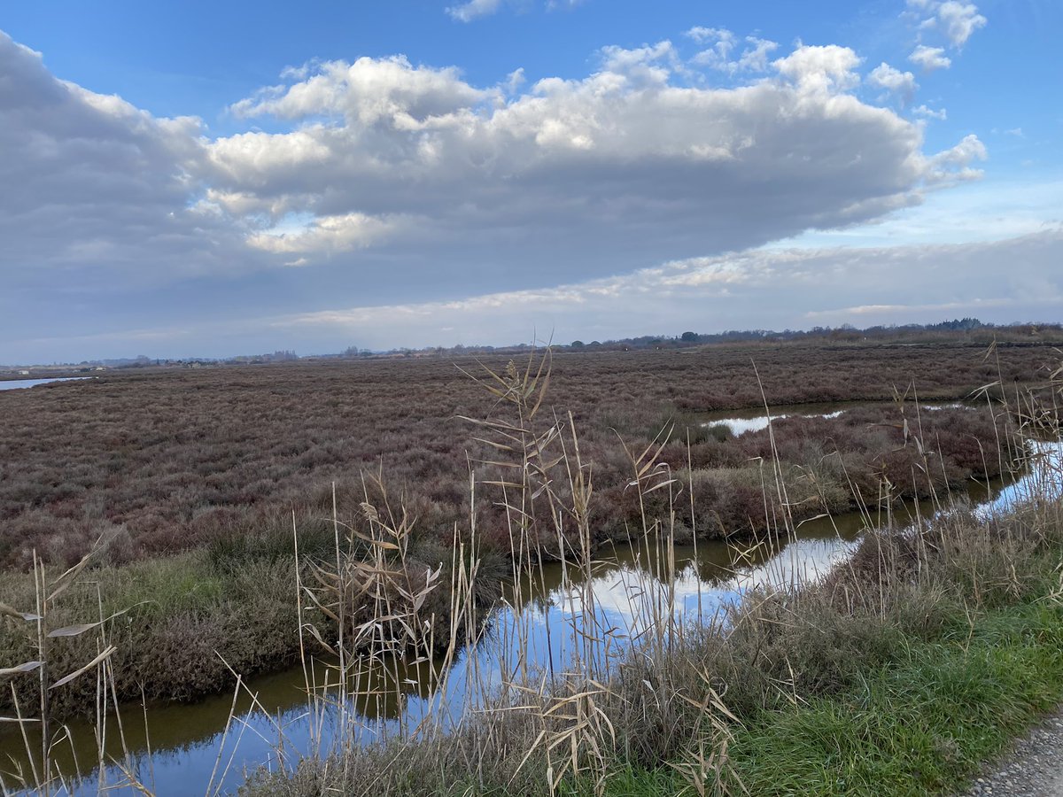 SophiMuller's tweet image. Having taken the time to care even more for loved ones, near and far, with soul and serenity. Stronger for people in exile, #refugees or #stateless @ACNURspain.