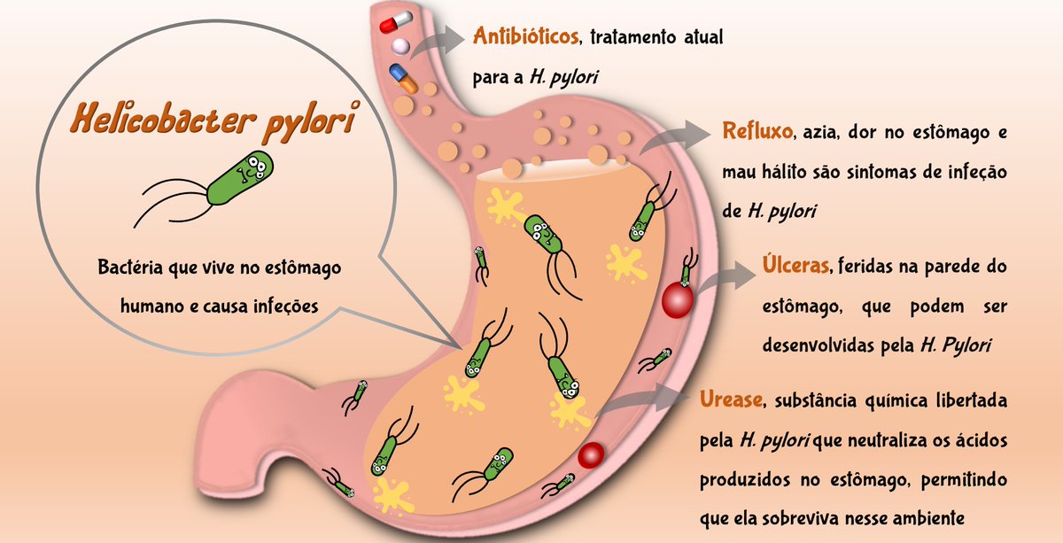 Rute Ferreira (@ferreira_rute2) on Twitter photo Recently, I received an honorable mention in the junior category of the “4º Concurso de Comunicação de Ciência em Microbiologia, with my work entitled “Uma Bactéria Terrorista e Secreta: Helicobacter Pylori”. 🧫🦠💙
Many thanks to <a href="/SPMicrobiologia/">Sociedade Portuguesa de Microbiologia</a>! 😀
spmicrobiologia.wordpress.com/2022/12/19/ven… Recently, I received an honorable mention in the junior category of the “4º Concurso de Comunicação de Ciência em Microbiologia, with my work entitled “Uma Bactéria Terrorista e Secreta: Helicobacter Pylori”. 🧫🦠💙
Many thanks to <a href="/SPMicrobiologia/">Sociedade Portuguesa de Microbiologia</a>! 😀
spmicrobiologia.wordpress.com/2022/12/19/ven…