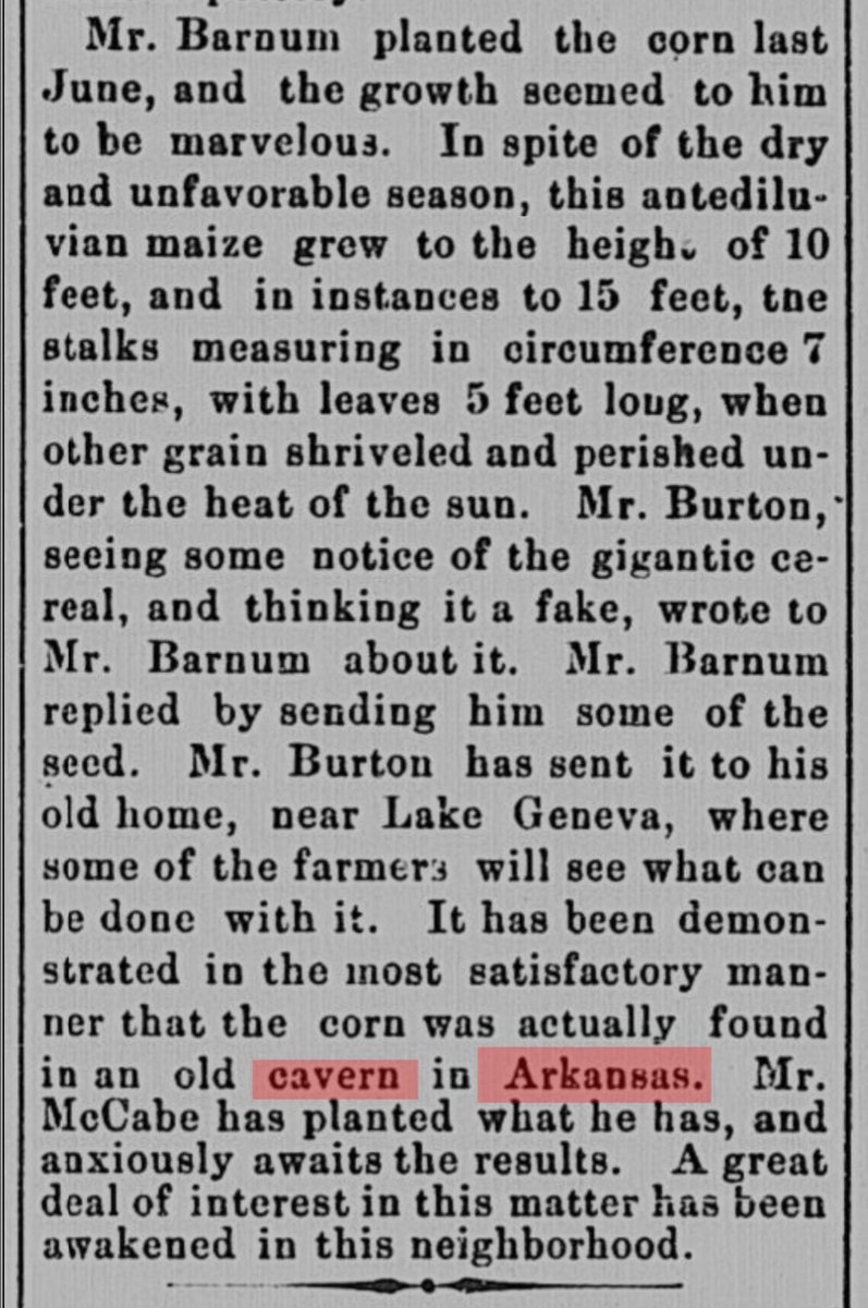 THE ARCHIVIST tweet media