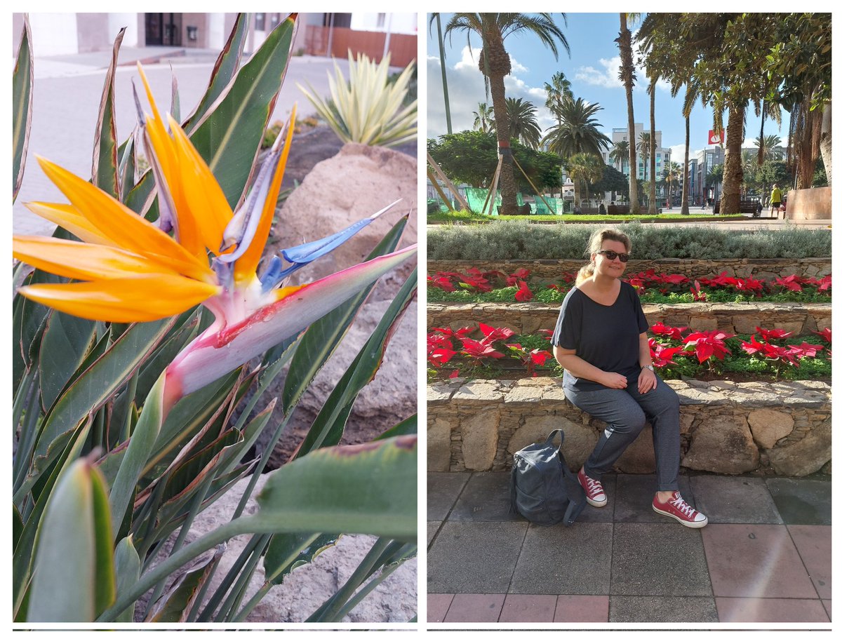 ChristinaSur1's tweet photo. Best is 'yet to come',  
holidays ends 😥
#holidayends, #grancanaria, #btsbestisyettocome https://t.co/aGqO6OE6B7