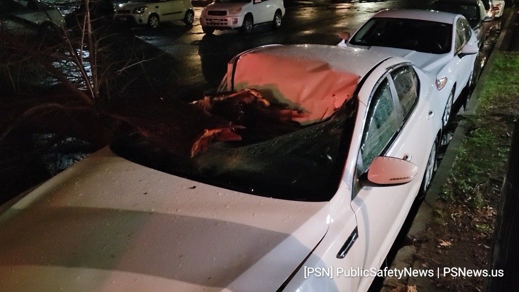 PSNews_Sac's tweet photo. #SevereWeather #DownedTree #EscapeRoom #Downtown
I St and 19th St
A large tree has fallen and blocked the roadway at the intersection of I St and 19th St.
This is the location of a popular escape room, Escape Sacramento, which sustained moderate damage to the structure... https://t.co/fBdimS9u9j
